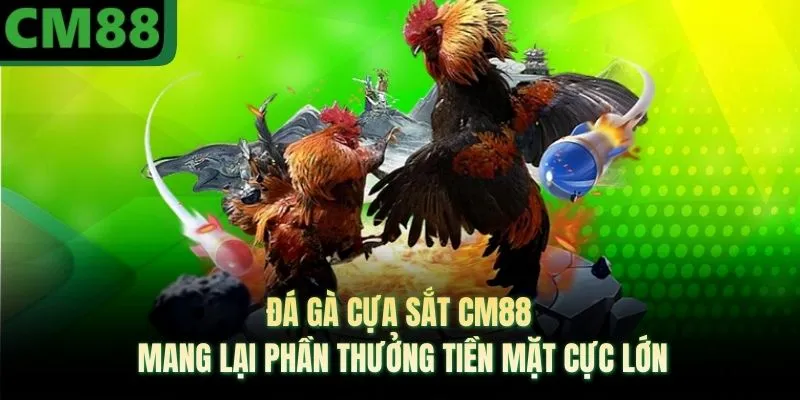 CM88铁刃斗鸡带来巨额现金奖励